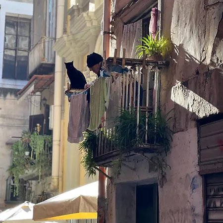 Διαμέρισμα Scio' Apartment-centro Storico- *